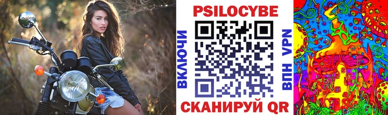 Псилоцибиновые грибы Psilocybe Димитровград