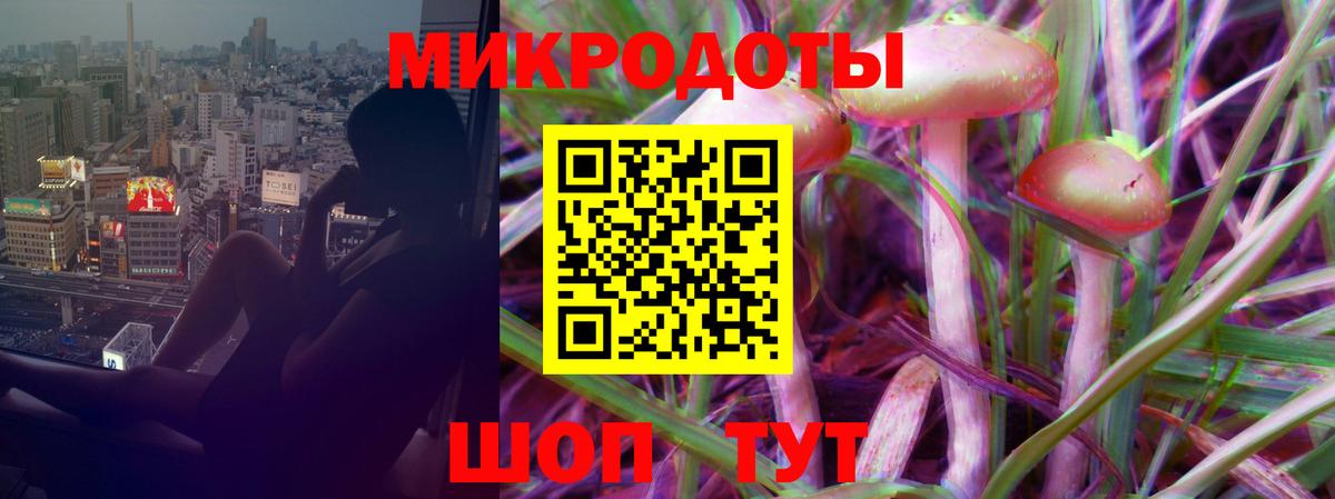 Псилоцибиновые грибы прущие грибы Димитровград