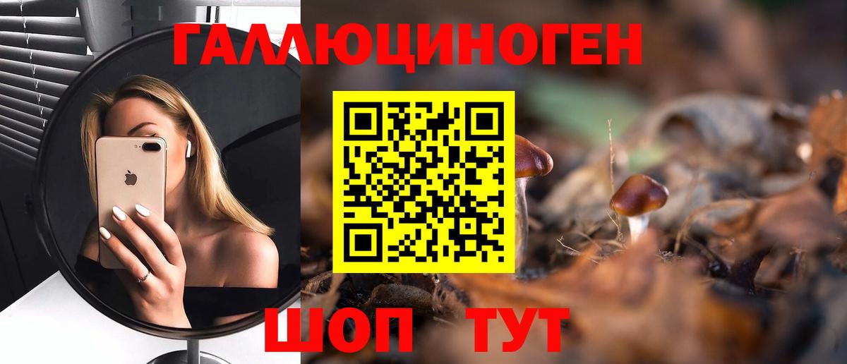 Псилоцибиновые грибы Psilocybe  Галлюциногенные грибы MAGIC MUSHROOMS  Димитровград  Вход с VPN 